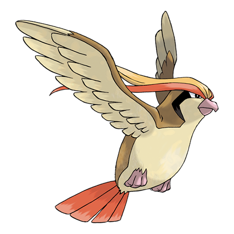 Pokemon Flight