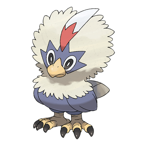 Rufflet's Roving Report 🦅